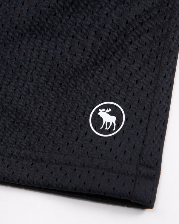 ypb icon mesh shorts, Black view 2